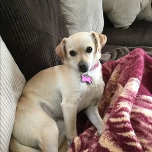 Meet your Posher, Lynn